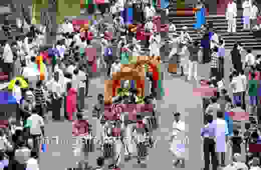 Alvas Nudisiri in moodbidri 1